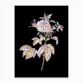 Stained Glass Pink Agatha Rose Mosaic Botanical Illustration on Black n.0121 Canvas Print