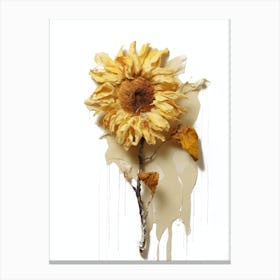 Sunflower 36 Canvas Print