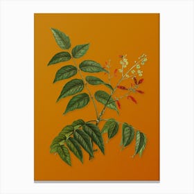 Vintage Tree of Heaven Botanical on Sunset Orange n.0383 Canvas Print