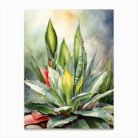 Sansevieria Leaves Canvas Print