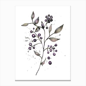 Berries in Bloom - Minimalistic Watercolor Berries Canvas Print