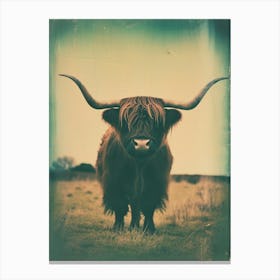 Highland Cow Polaroid Inspired 1 Canvas Print
