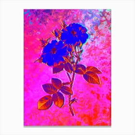 White Damask Rose Botanical in Acid Neon Pink Green and Blue Canvas Print