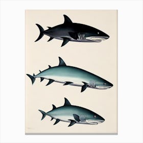 Ghost Shark Vintage Poster Canvas Print