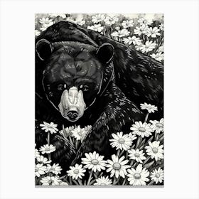 Malayan Sun Bear Resting In A Field Of Daisies Ink Illustration 2 Canvas Print