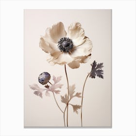 Pressed Flower Botanical Art Anemone 3 Canvas Print