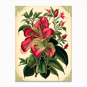 Mandevilla 1 Floral Botanical Vintage Poster Flower Canvas Print