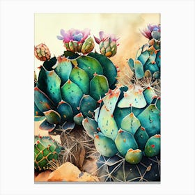 Cactus nature flora Canvas Print