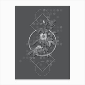 Vintage Single May Rose Botanical with Line Motif and Dot Pattern in Ghost Gray n.0060 Canvas Print