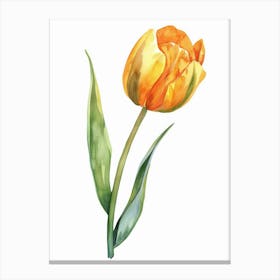 Watercolor Tulip 1 Canvas Print