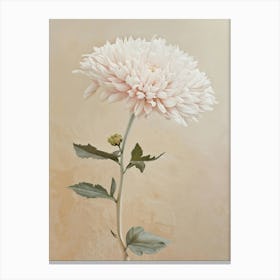 Chrysanthemum 1 Canvas Print