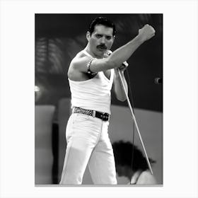 Freddie Mercury And Queen Canvas Print