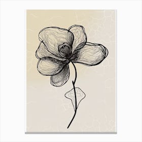 Line Art Orchids Flowers Illustration Neutral 6 Canvas Print