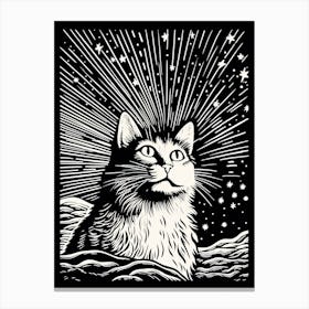 Orion S Furry Comets, Psychedelic Cats series Canvas Print