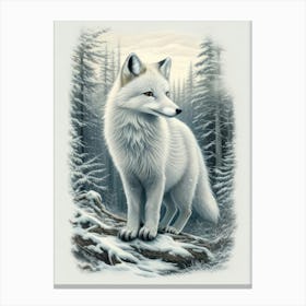 Arctic Fox 3 Canvas Print
