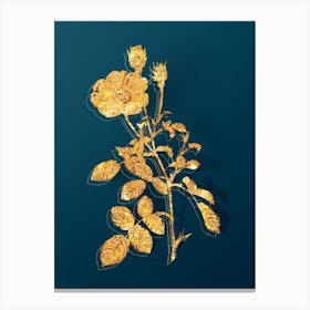 Vintage Sparkling Rose Botanical in Gold on Teal Blue n.0092 Canvas Print