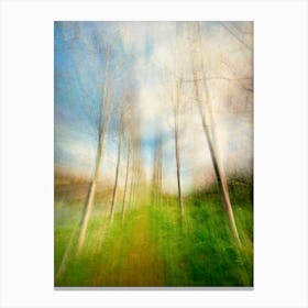 Tree Lined Path Canvas Print