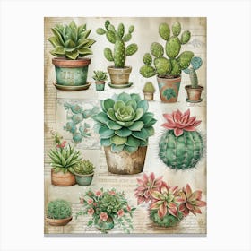 Succulents In Pots Canvas Print