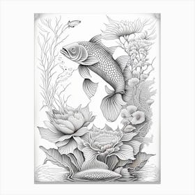 Midorigoi Koi 1, Fish Haeckel Style Illustastration Canvas Print