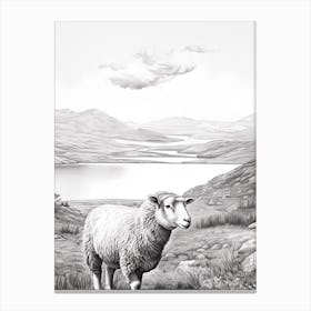 Black & White Illustration Of Highland Sheep With The Valley In The Distance 2 Canvas Print
