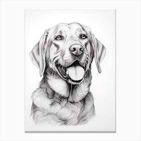 Labrador Retriever Dog, Line Drawing 2 Canvas Print