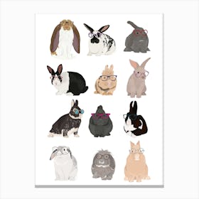 Rabbit Family Canvas Print