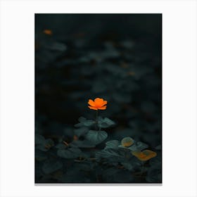 Single Flower In The Dark 62 Canvas Print