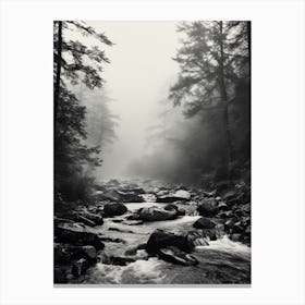 Great Smoky, Black And White Analogue Photograph 3 Canvas Print