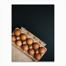 Eggs In A Carton 13 Canvas Print