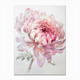 Pink Chrysanthemum Canvas Print