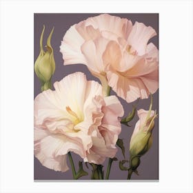 Floral Illustration Lisianthus 3 Canvas Print