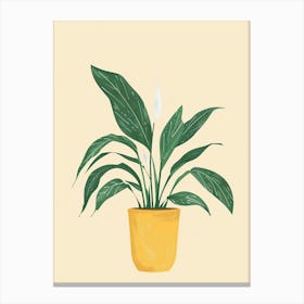 Chinese Evergreen Plant Minimalist Illustration 1 Canvas Print