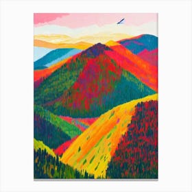 Pribaikalsky National Park 1 Russia Abstract Colourful Canvas Print