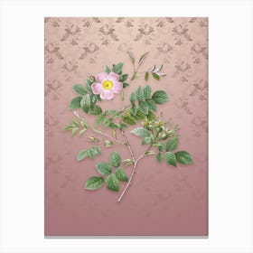Vintage Malmedy Rose Botanical on Dusty Pink Pattern n.2491 Canvas Print