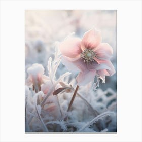 Frosty Botanical Hellebore 3 Canvas Print