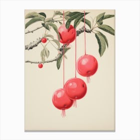 Pomegranate Canvas Print