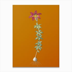 Vintage Wood Lily Botanical on Sunset Orange n.0868 Canvas Print