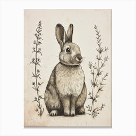 Cinnamon Blockprint Rabbit Illustration 6 Canvas Print