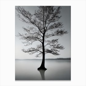 Lone Tree 1 Canvas Print