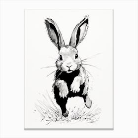 Rabbit Prints Ink Drawing Black And White 7 Canvas Print