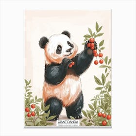 Giant Panda Picking Berries Poster 10 Canvas Print