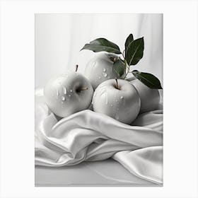 Still life with apples Canvas Print