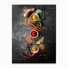 Spices (Italian, Spanish cuisine) — Food kitchen poster/blackboard, photo art Canvas Print