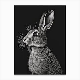 English Silver Blockprint Rabbit Illustration 4 Canvas Print