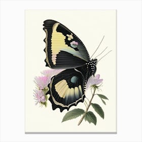 Black Swallowtail Butterfly Vintage Pastel 1 Canvas Print