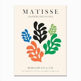 Matisse floral Canvas Print