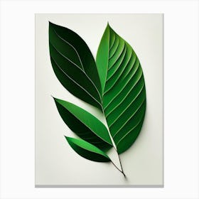 Tea Tree Leaf Vibrant Inspired 1 Canvas Print