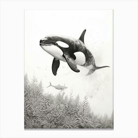 Underwater Realistic Pencil Drawing Orca Whale Canvas Print