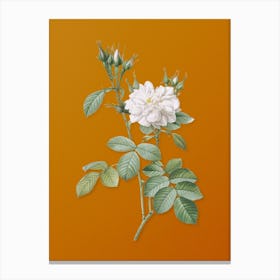 Vintage Autumn Damask Rose Botanical on Sunset Orange n.0479 Canvas Print