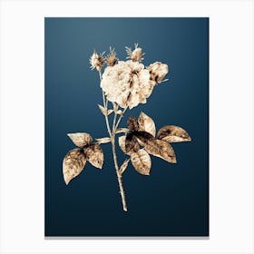 Gold Botanical Pink Agatha Rose on Dusk Blue n.3666 Canvas Print